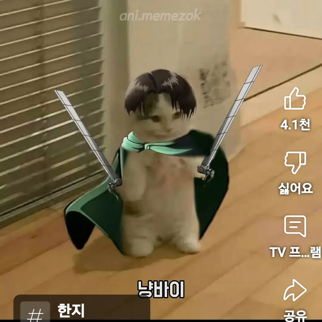 SnugTrain9546의 리바이가 고양이가되면~~??!!