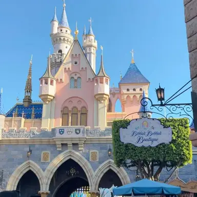 Profile image of Disneyland