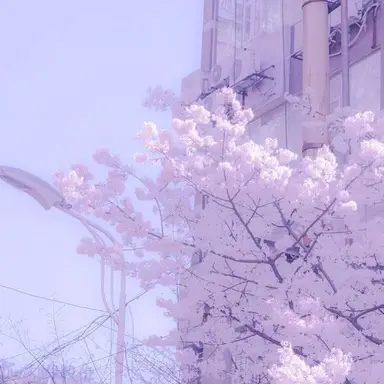 Profile image of 블던