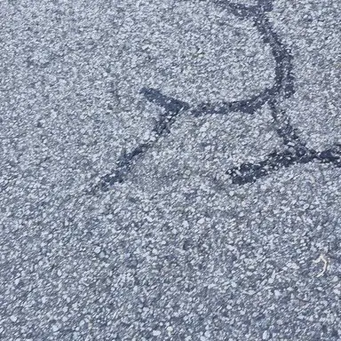 Profile image of 의사