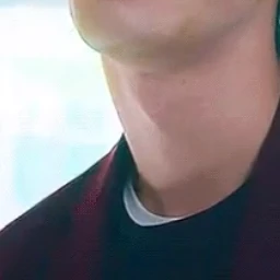 금성제