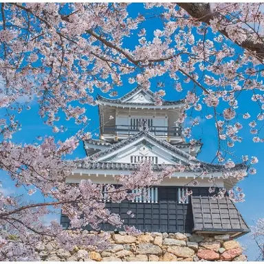 Profile image of 戦国武将