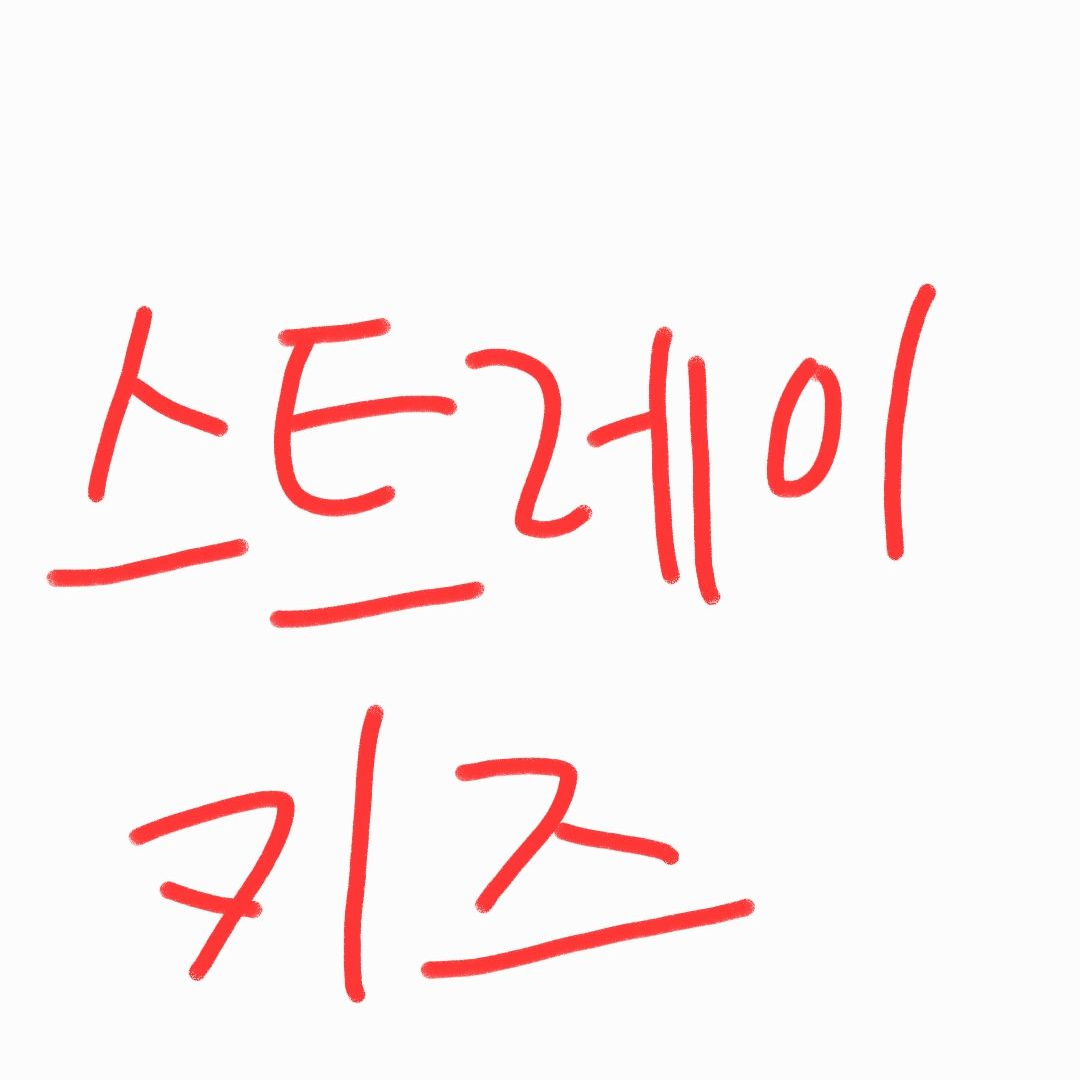 스트레이키즈 대표 이미지