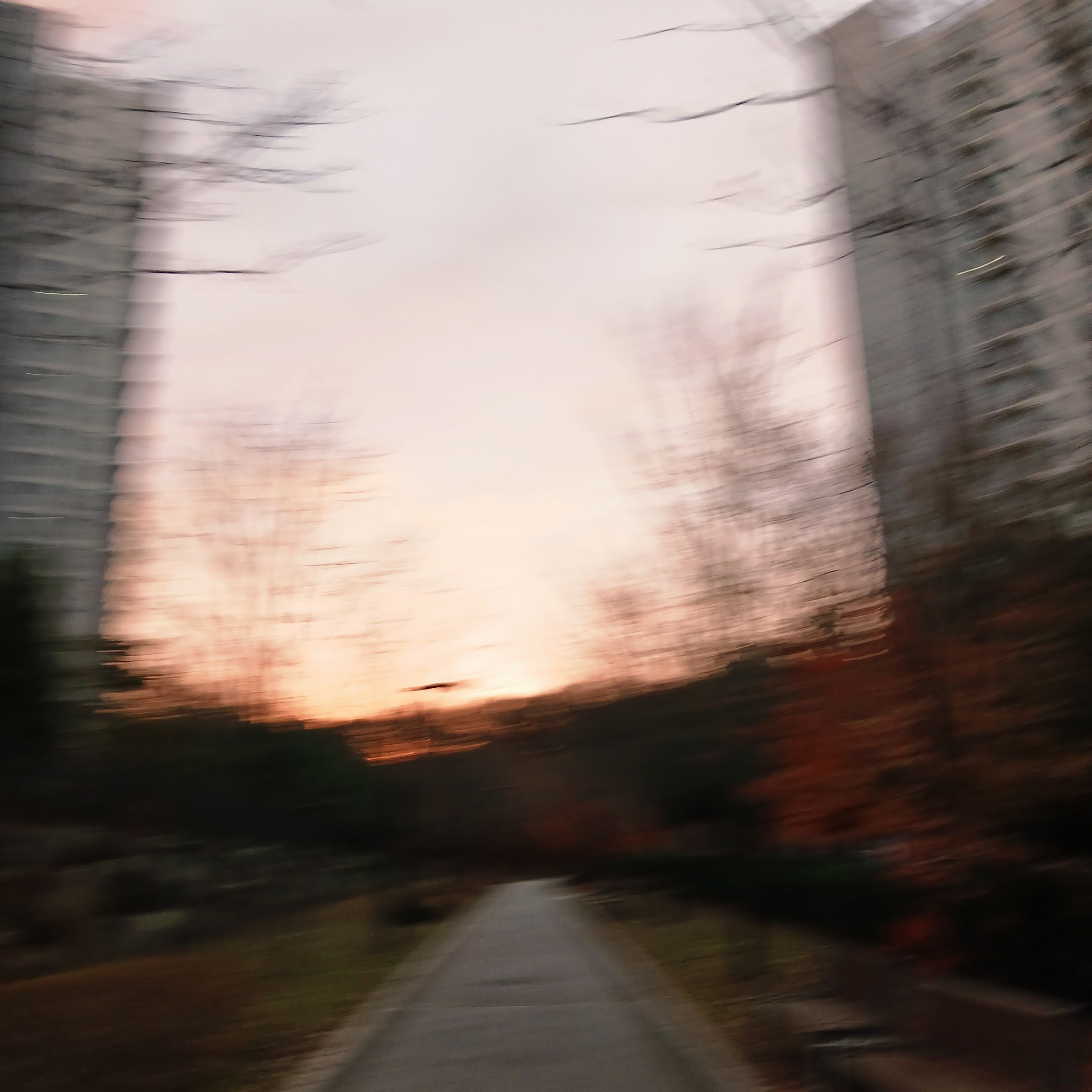 고고프렌즈,대저택,팀나빠 (초능력자) 대표 이미지