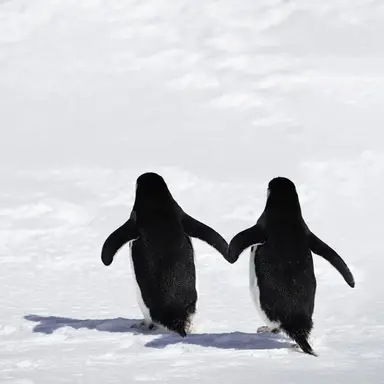 Profile image of 변태아저씨