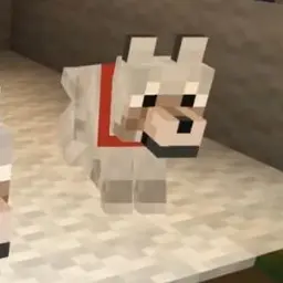 Profile image of 멍순이