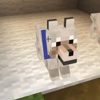 Profile image of 멍뭉이