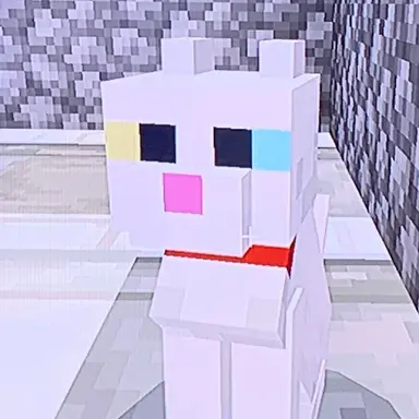 Profile image of 쪼냥이