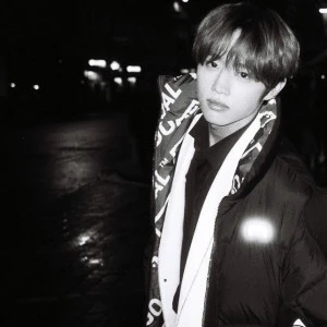 김선우