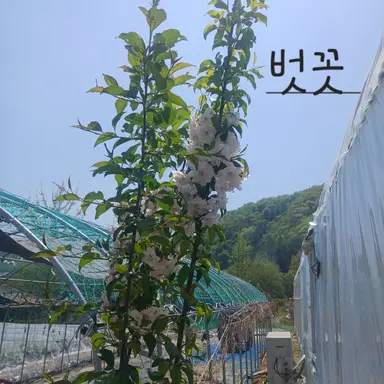 Profile image of 없습니다