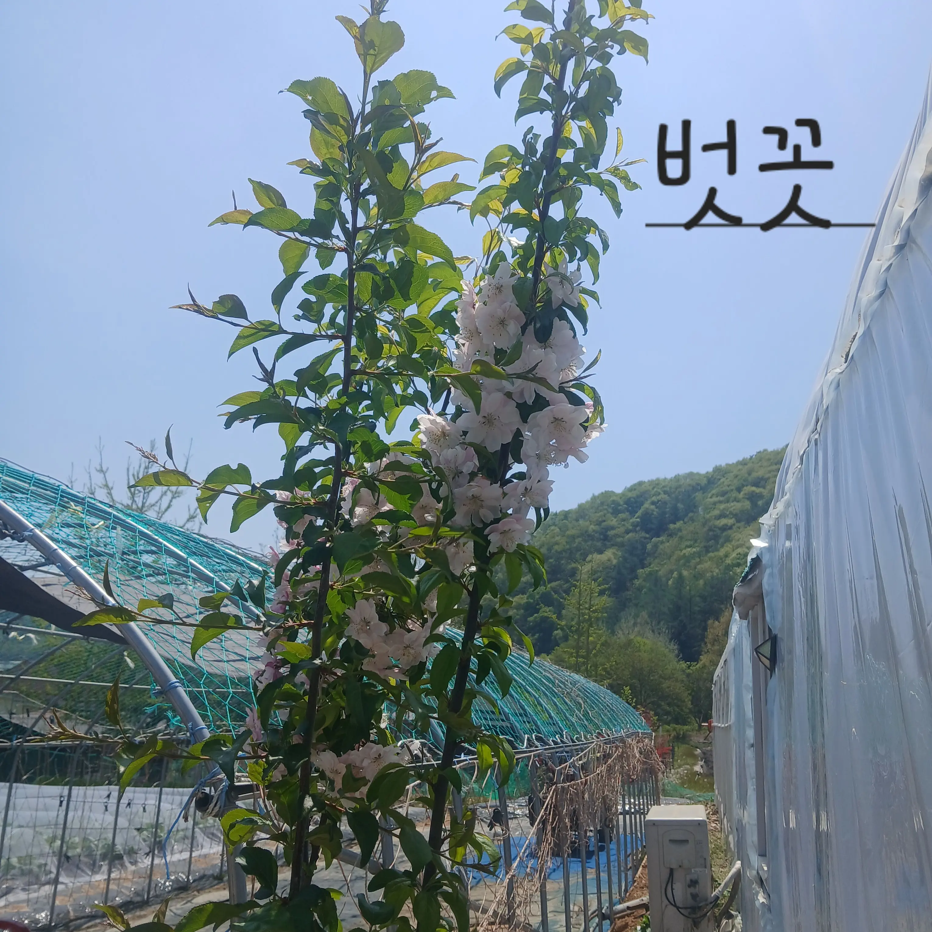 Sjejsjsjsjskzksksksssssslslwl의 내리겠습니다