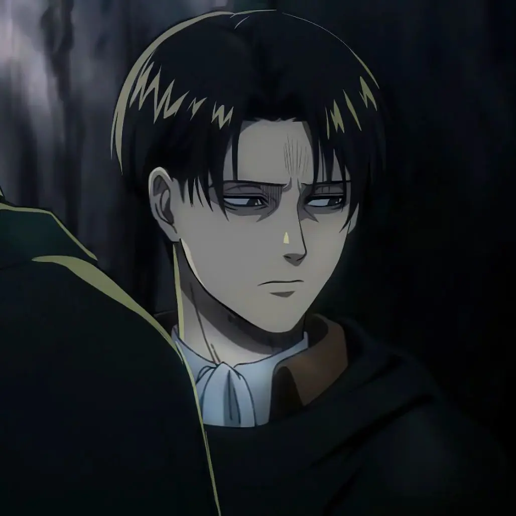 Gisss3438의 Levi Ackerman~ he never hit you before