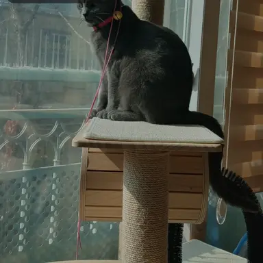 Profile image of 단