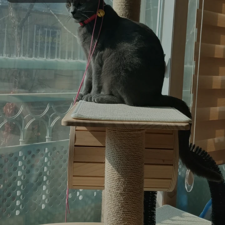 단