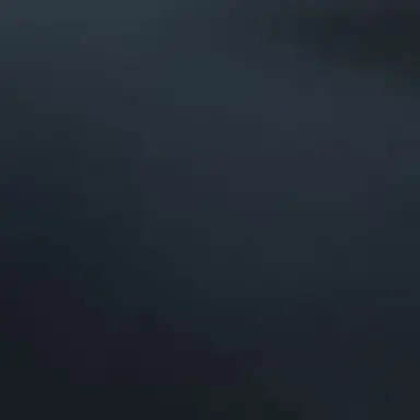 Profile image of 동믽