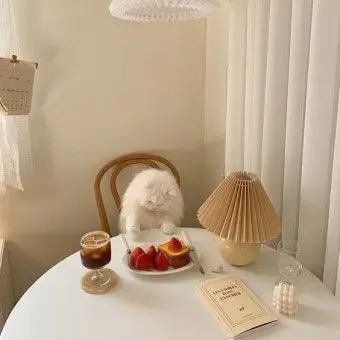 Profile image of 정 공룡