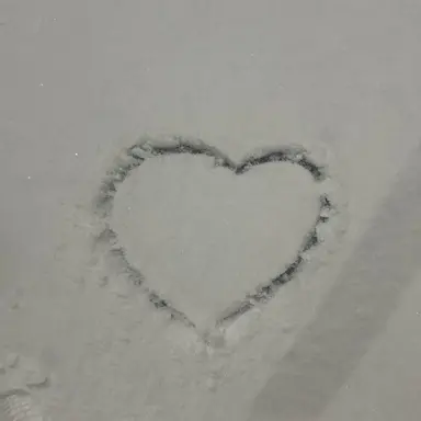 Profile image of 연서