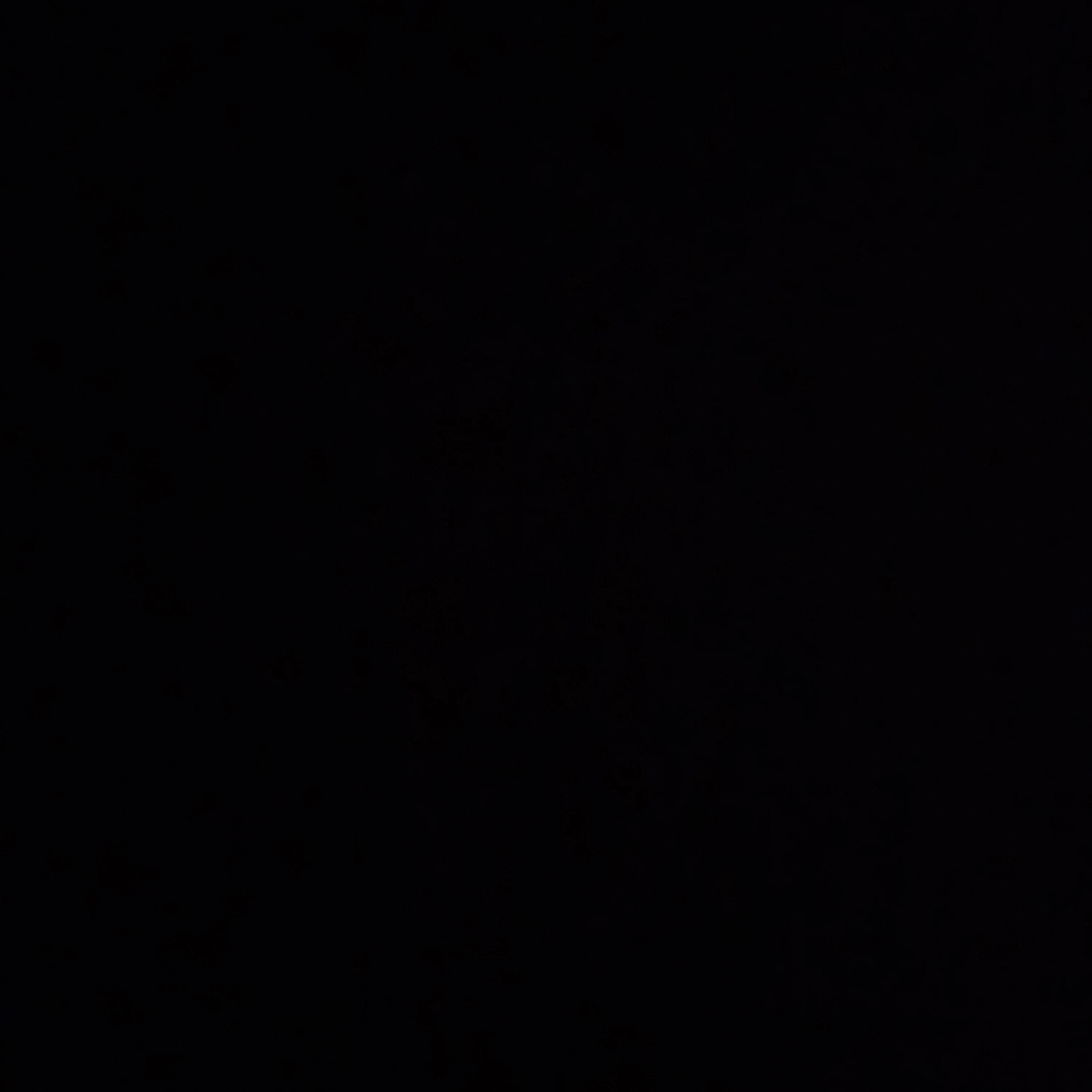 기상호