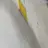 김동현