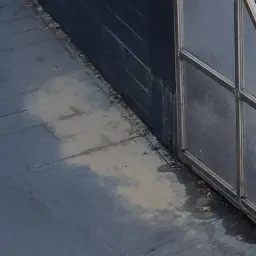 Profile image of 류동현