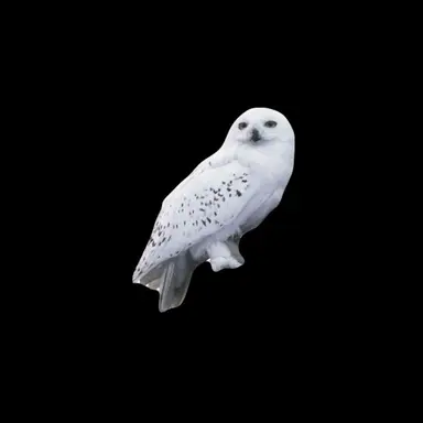 Profile image of 류한