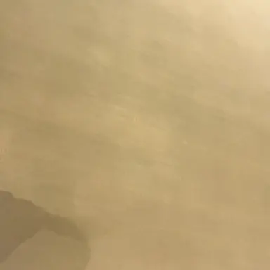 Profile image of 희나