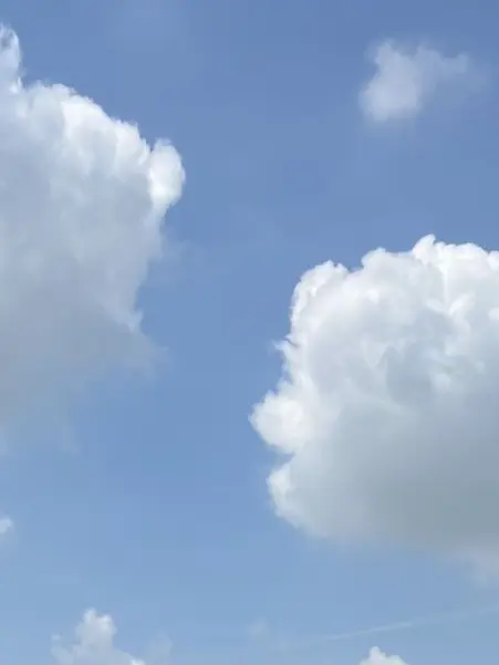 12251224의 イカゲーム３、貴方はどう行動する？