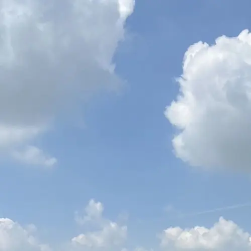 111111122222211333의 イカゲーム３、貴方はどう行動する？