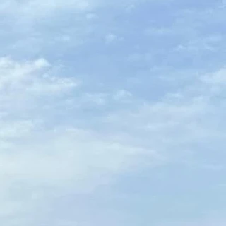 정승호