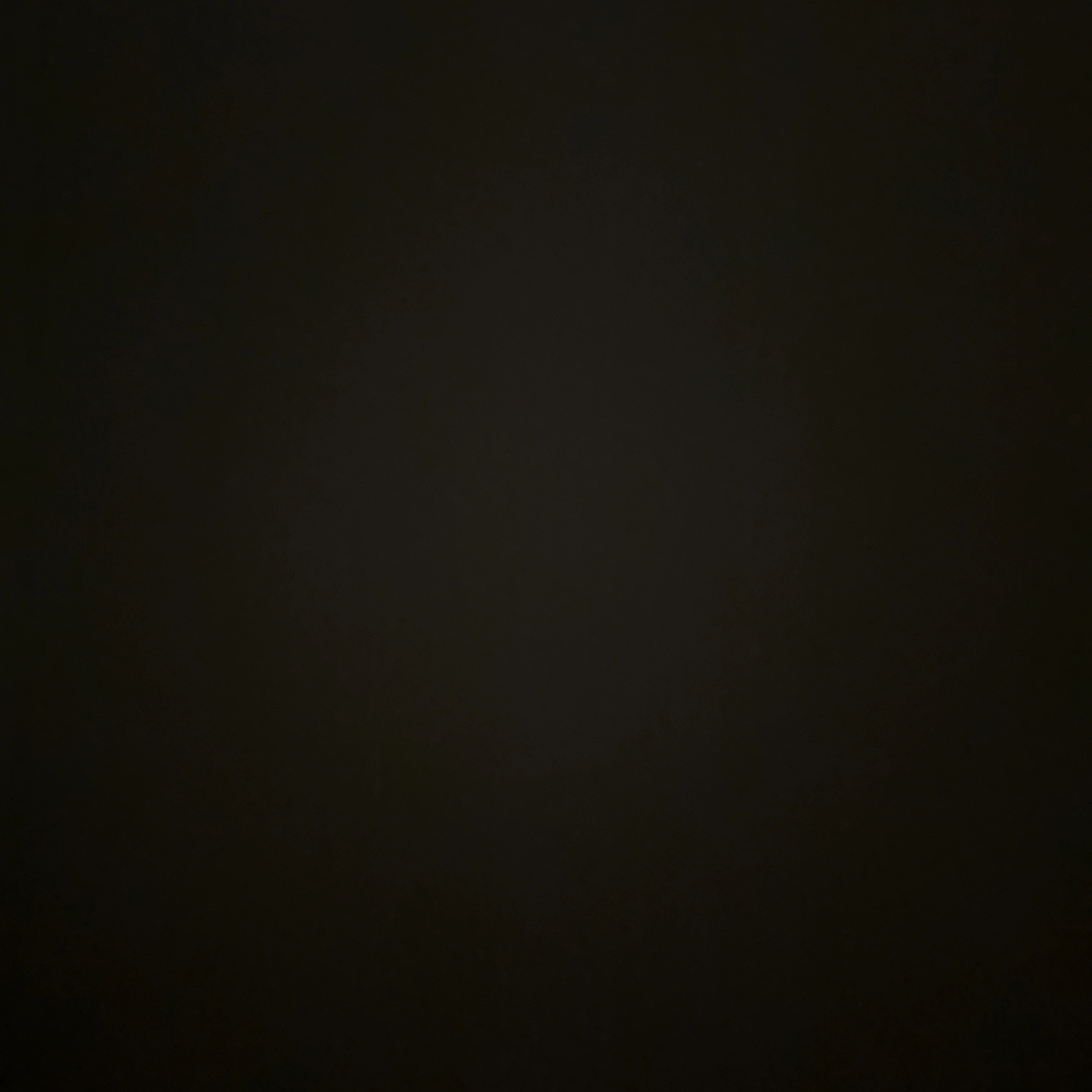 김동햔