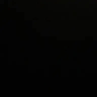 Profile image of 유기사