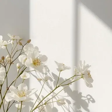Profile image of Misaki Ishikawa