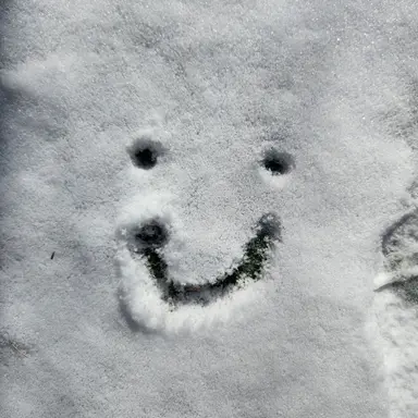 Profile image of 수현