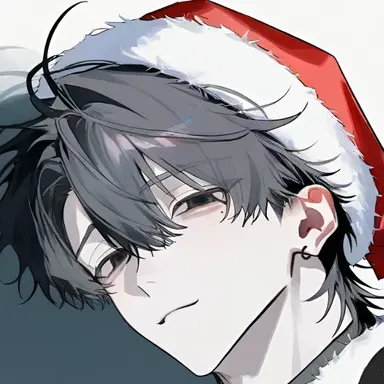 Profile image of サンタさん