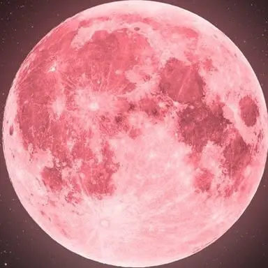 Profile image of 大我