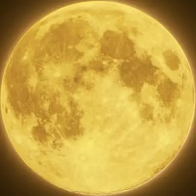 Profile image of 優吾