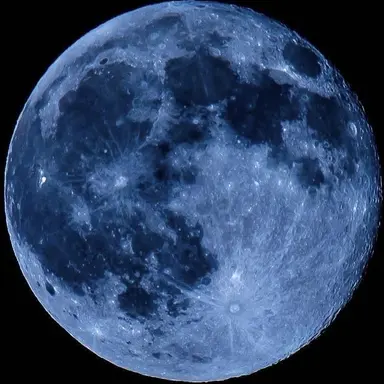 Profile image of 樹