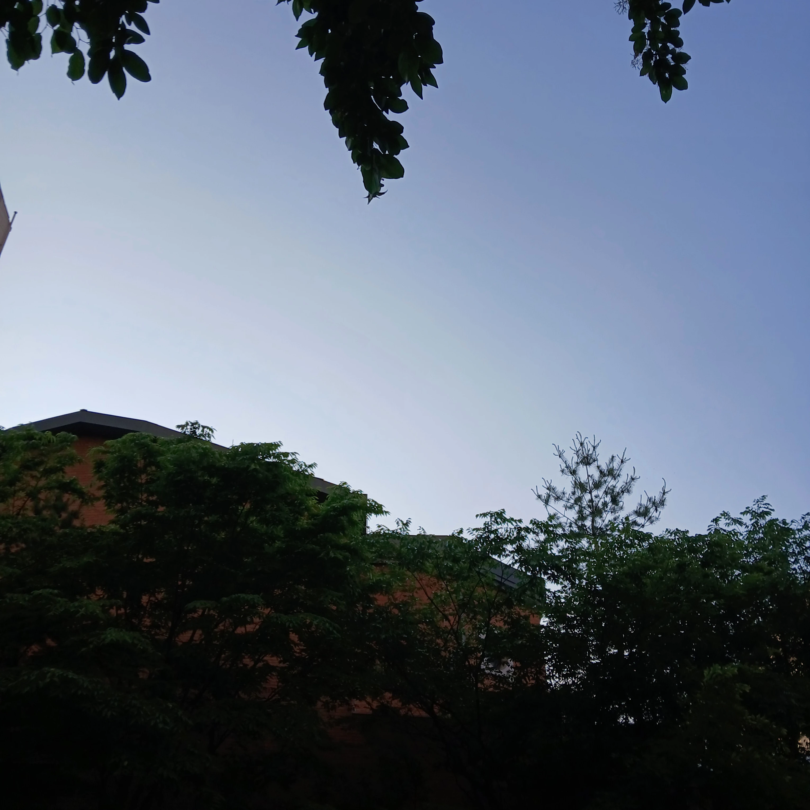 최범규