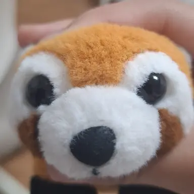 Profile image of 담임선생님