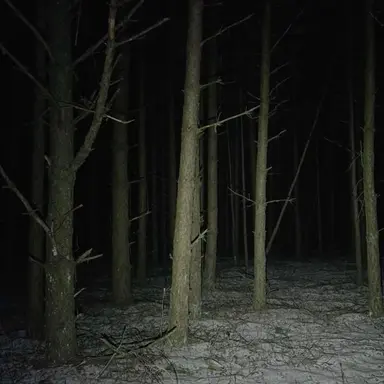 Profile image of victim