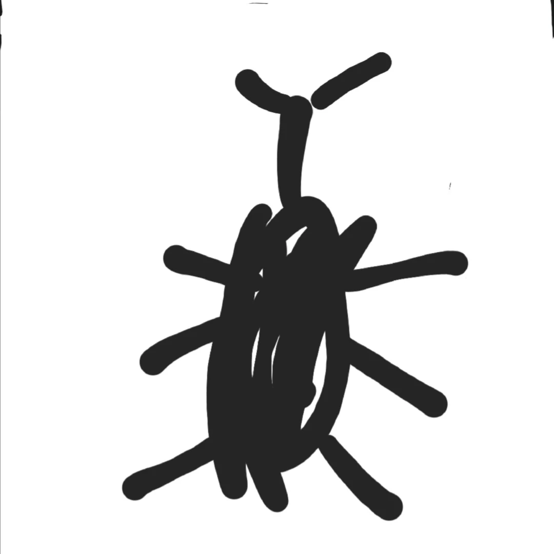 장수