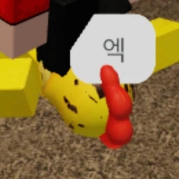 꼬꼬 쉐들