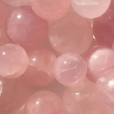 Profile image of 선하