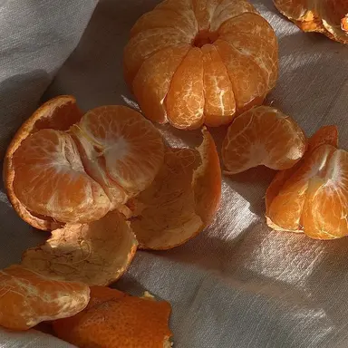 Profile image of 코마