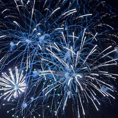 Profile image of 파이브