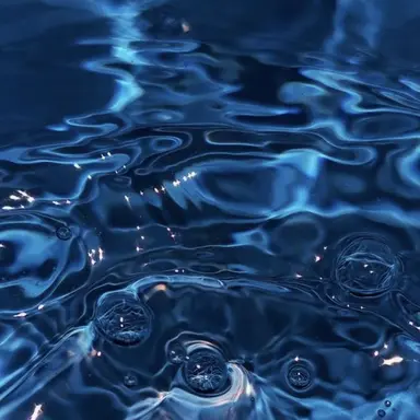 Profile image of 행크