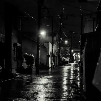 Profile image of 윤 성한