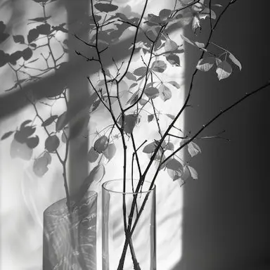 Profile image of 쪼만