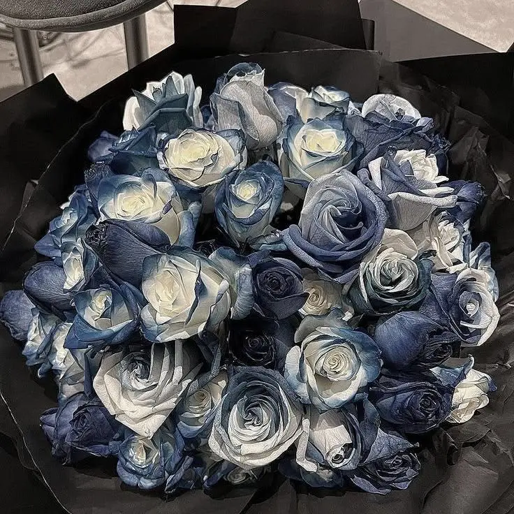 PVC_SMC_LOVE의 이해라는 것은?