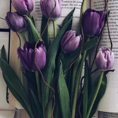 Profile image of 수현